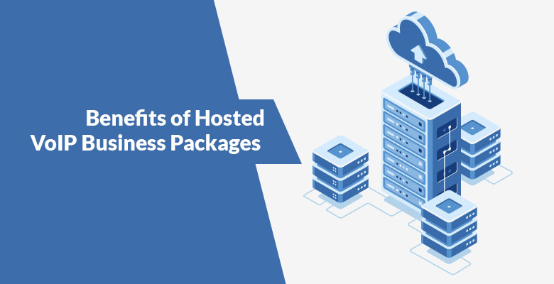 Hosted VoIP Business